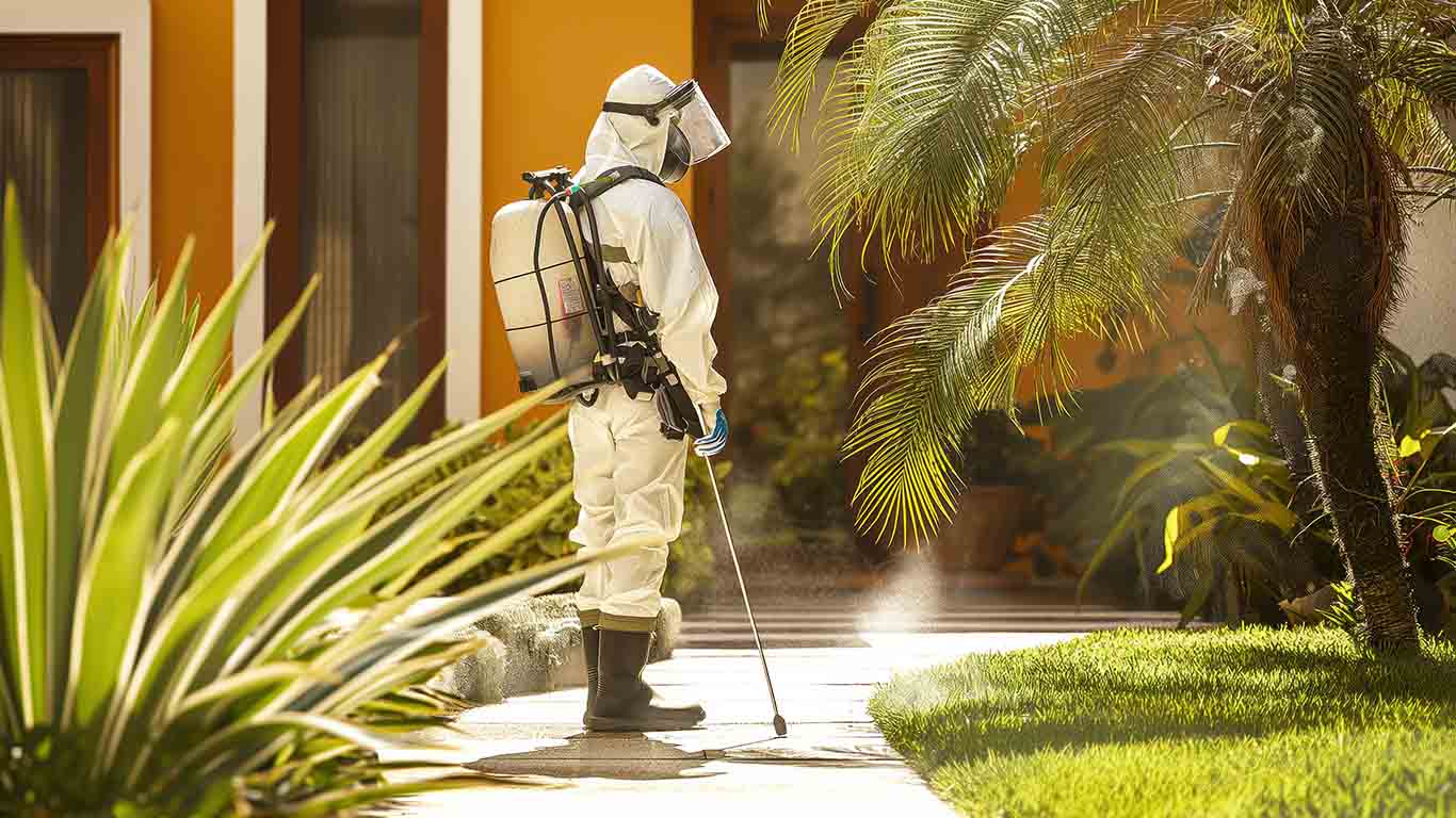How to keep your home pest-free during winter